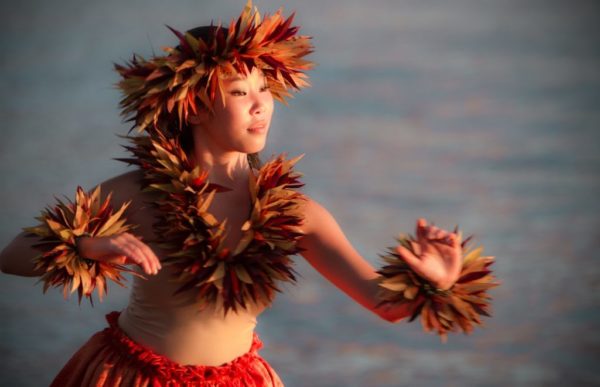 reiser USA, reiser hawaii, reiser honolulu, reiser oahu, reiser maui, reiser big island, reiser kauai, reiser molokai, skreddersydde reiser, pakkereiser