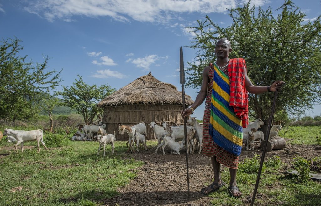reiser til tanzania, afrika reiser, reiser til afrika, reiser afrika, reisemål afrika, Unike reiser, pakkereiser, skreddersydde reiser, pakketurer, reiser, reisebyrå, reisetips, safari i afrika, tanzania safari reiser, tur til tanzania, ballongsafari, ferie tanzania
