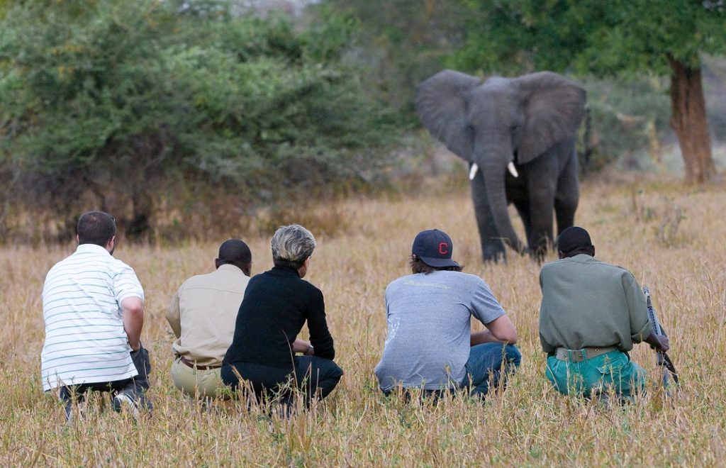 reiser til malawi, malawi reise, malawi reiser, reiser malawi, reis til malawi, tur til malawi, ferie malawi, unike reiser, pakkereiser, skreddersydde reiser, pakketurer, reiser, reisebyrå, reisetips