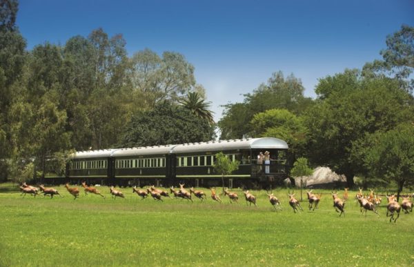 Rovos Rail_1