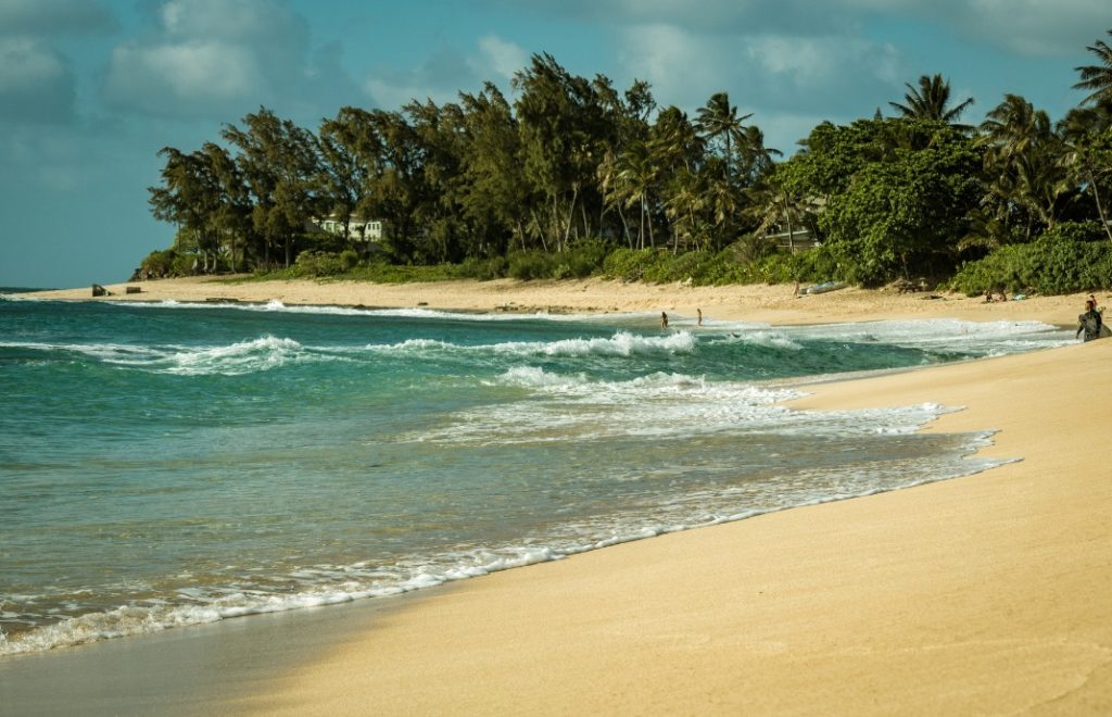 reiser USA, reiser hawaii, reiser honolulu, reiser oahu, reiser maui, reiser big island, reiser kauai, reiser molokai, skreddersydde reiser, pakkereiser