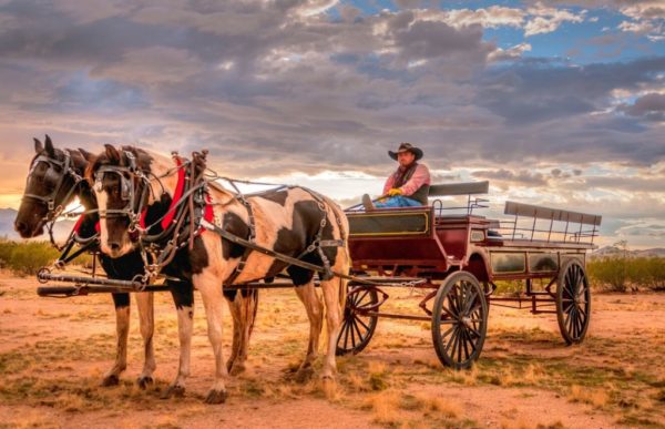 reiser til usa,, usareiser, reiser til amerika, tur til usa, usa reiser, reiser usa, usa turer, unike reiser, pakkereiser, skreddersydde reiser, pakketurer, reiser, reisebyrå, reisetips, ranchferie, ranchopphold