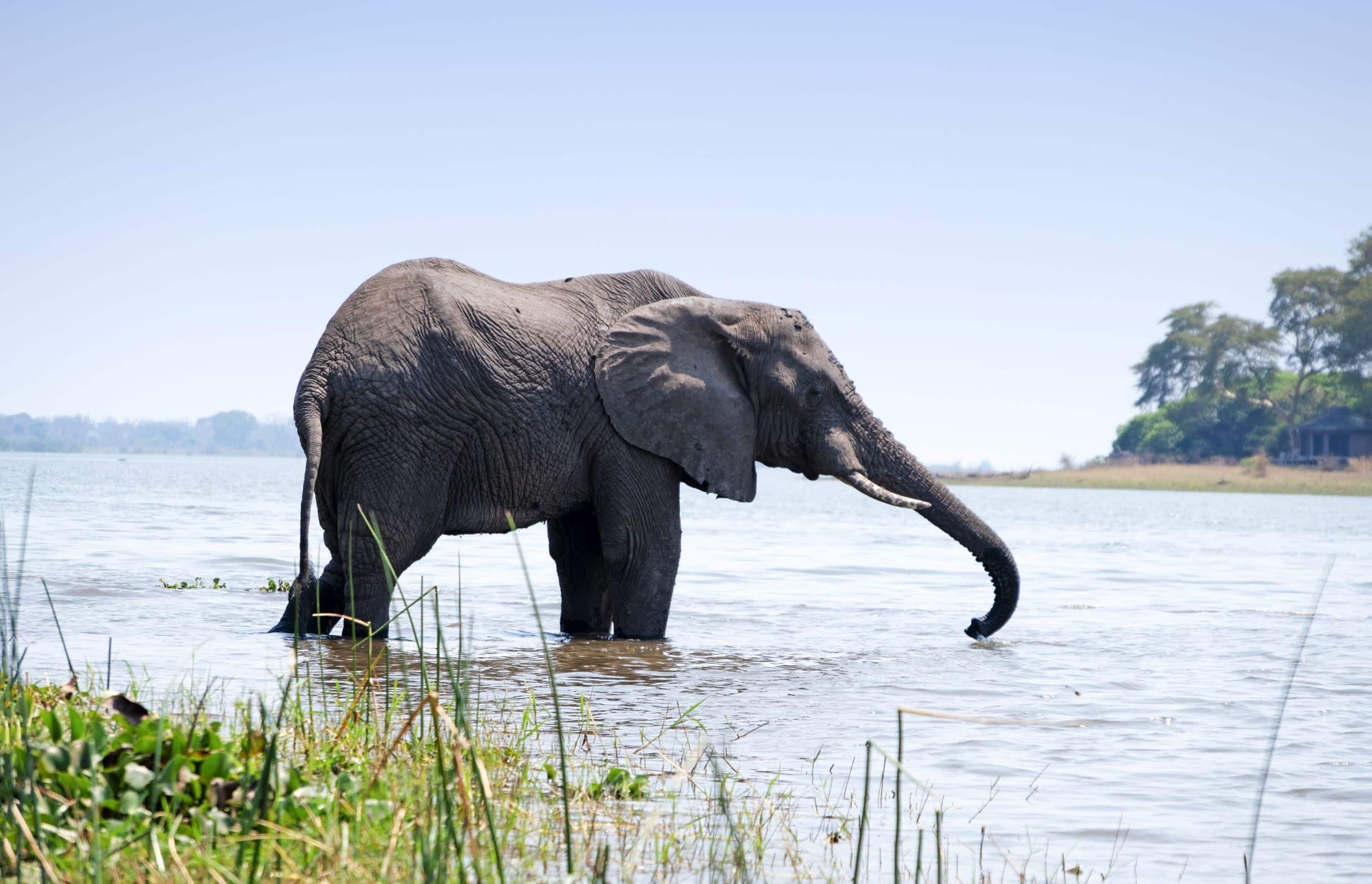 reiser til malawi, malawi reise, malawi reiser, reiser malawi, reis til malawi, tur til malawi, ferie malawi, unike reiser, pakkereiser, skreddersydde reiser, pakketurer, reiser, reisebyrå, reisetips