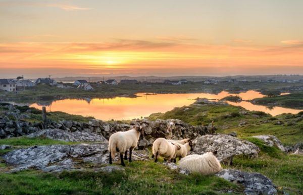reiser til irland, rundreise irland, tur til irland, reise irland, reiser til irland, pakkereise irland, pakkereiser til irland unike reiser, pakkereiser, skreddersydde reiser, pakketurer, reiser, reisebyrå, reisetips